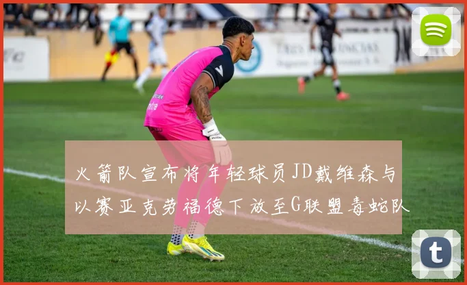 火箭队宣布将年轻球员JD戴维森与以赛亚克劳福德下放至G联盟毒蛇队进行锻炼