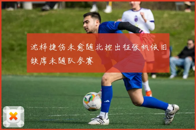 沈梓捷伤未愈随北控出征张帆依旧缺席未随队参赛