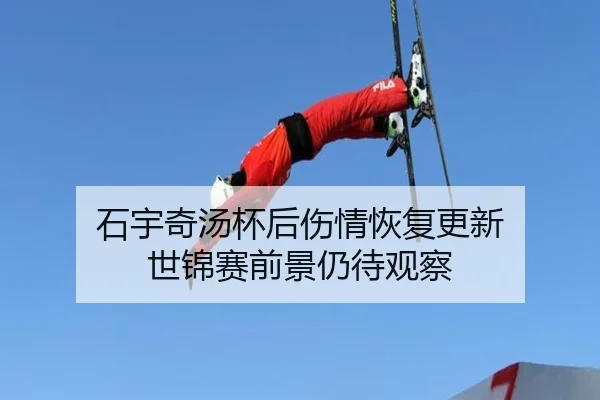 石宇奇汤杯后伤情恢复更新 世锦赛前景仍待观察